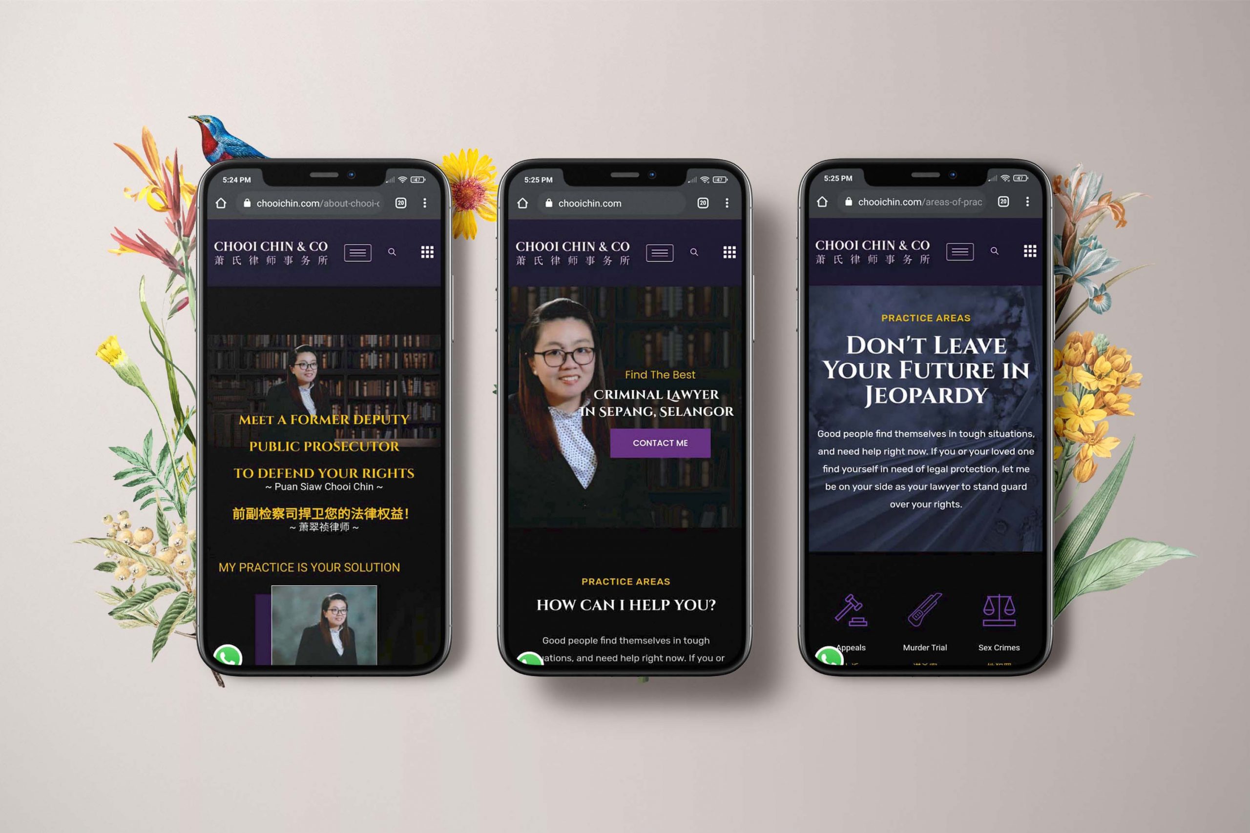 Chooi Chin & Co web design portfolio mockup